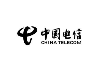 中國電信部門調(diào)整！設(shè)立網(wǎng)絡(luò)和信息安全管理部